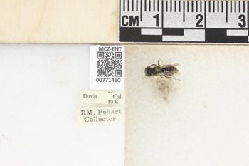 Media type: image;   Entomology 771460 Aspect: Labels